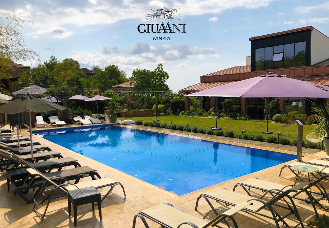 Giuaani Winery Hotel Manavi Exterior photo